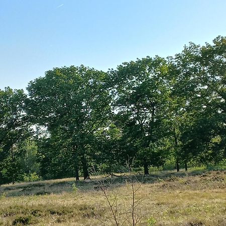 Вілла Vogelzang Hattemerbroek Номер фото